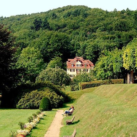 Rhoen Hotel Waldcafe St. Georg Staatsbad Bruckenau Luaran gambar
