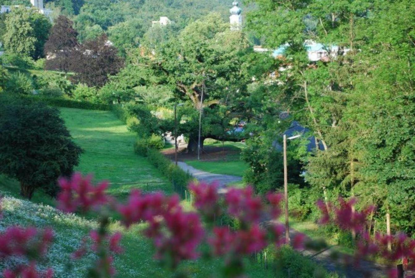 Rhoen Hotel Waldcafe St. Georg Staatsbad Bruckenau Luaran gambar