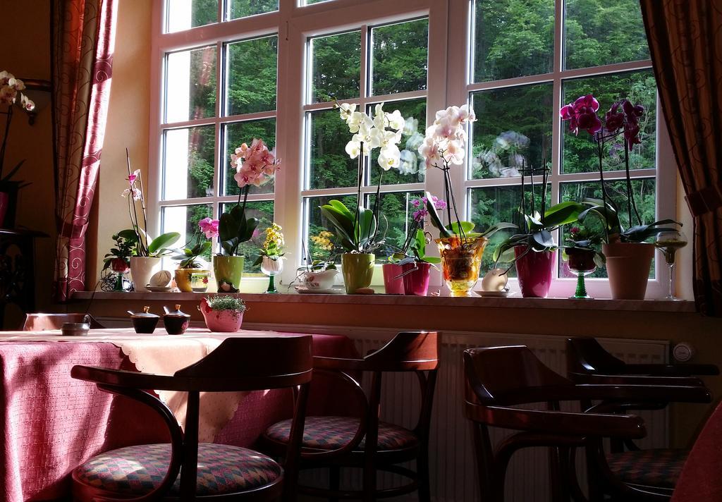 Rhoen Hotel Waldcafe St. Georg Staatsbad Bruckenau Luaran gambar
