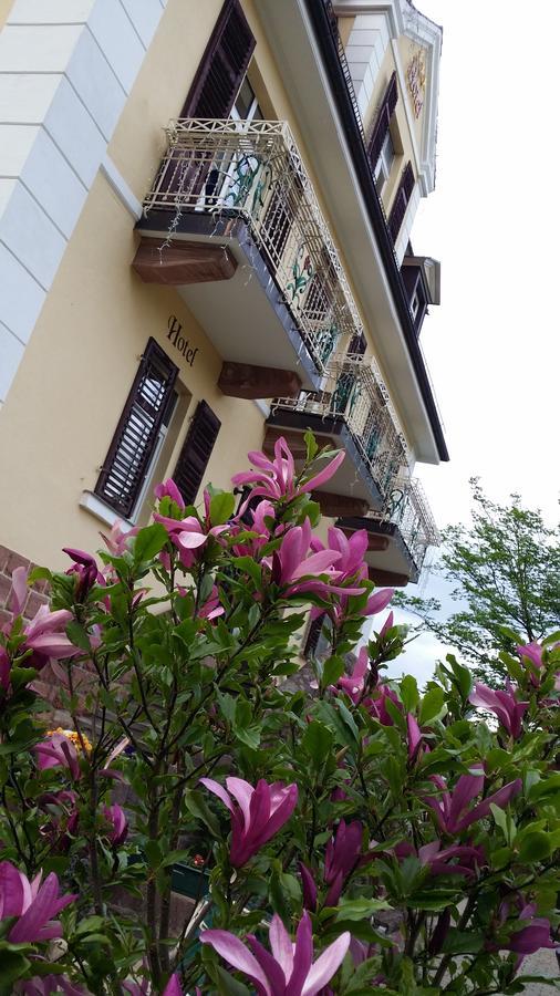 Rhoen Hotel Waldcafe St. Georg Staatsbad Bruckenau Luaran gambar