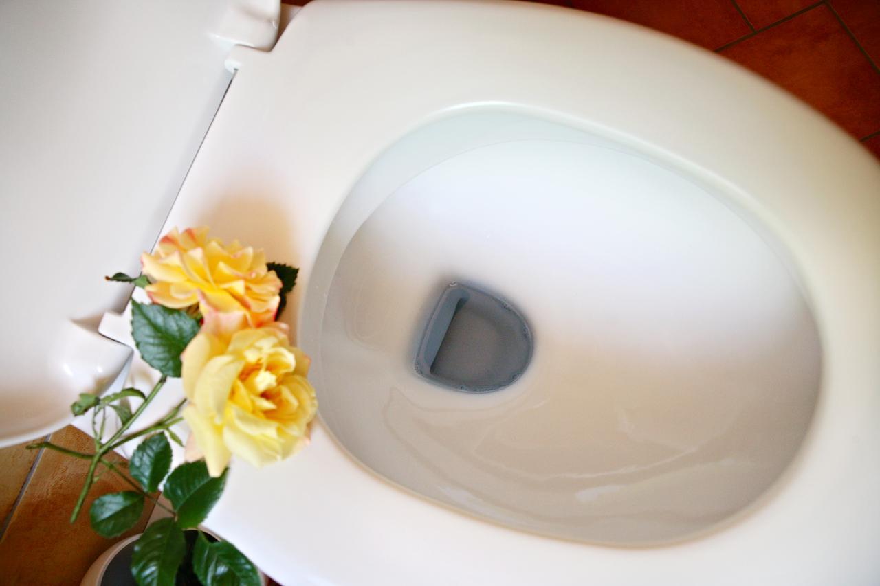 Rhoen Hotel Waldcafe St. Georg Staatsbad Bruckenau Luaran gambar