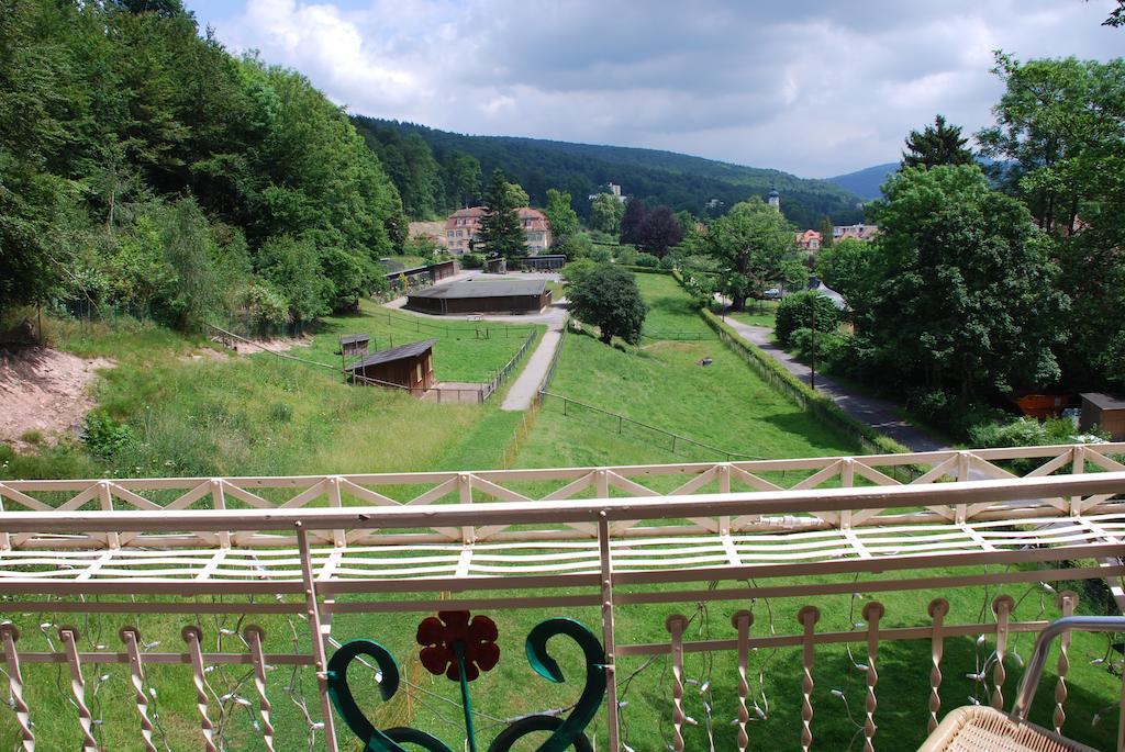 Rhoen Hotel Waldcafe St. Georg Staatsbad Bruckenau Luaran gambar